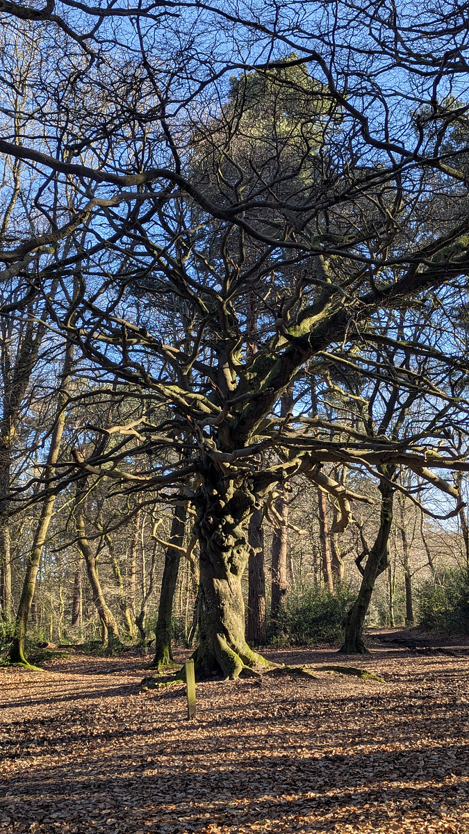 270879a0-10c2-11f1-a13e-0242ac120004